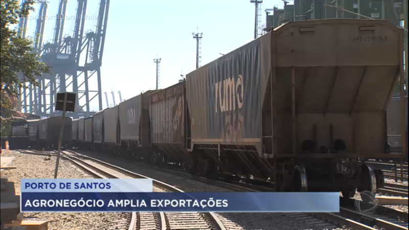Exportação de produtos relacionados ao Agro cresce no Porto